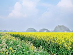 -中国天府农业博览园