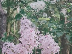 -陶然亭公园