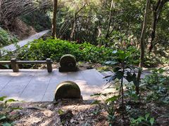 -广州市白云山风景名胜区