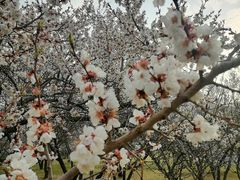 -长春公园(普阳街道)