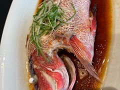 -闽海肴(北辰荟店)