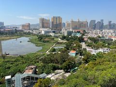 -澳门喜来登大酒店