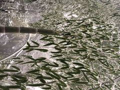 藏龙百瀑-藏龙百瀑风景区