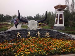 -武清南湖绿博园