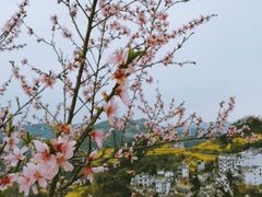 -石潭村