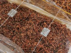 -大润发(花雨店)