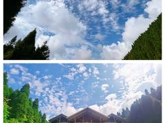 -武陵山森林公园