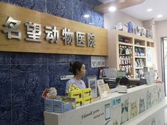 -瑞派名望24h动物医院异宠专科·猫专科·骨科·重症监护分院