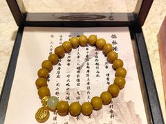 -中国中医科学院西苑医院(本部)