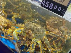 -蟹之国·精品蟹料理(极地店)