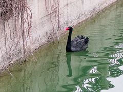 -北坞公园
