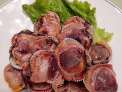 血蛤-高佳庄·舟山海鲜(海景旗舰店)