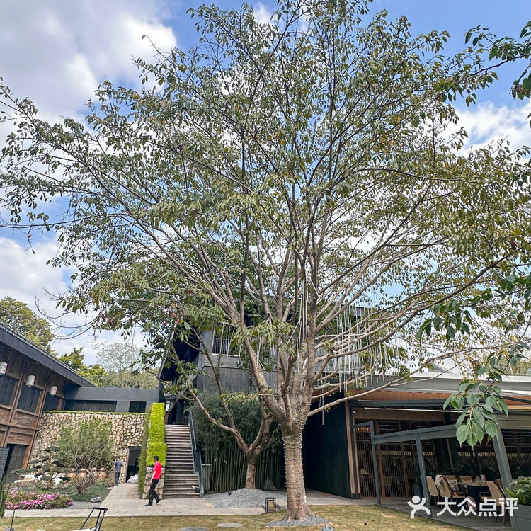 成都吃鱼首选，中式庄园也太适合聚会了！