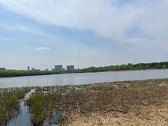 -长春市南湖公园