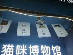 -猫咪博物馆(顶澳仔猫街店)