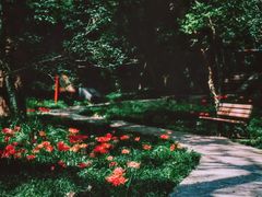 -灵谷景区