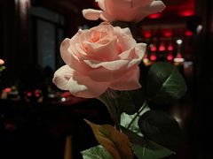 -花马天堂云南餐厅 Lost Heaven(外滩店)