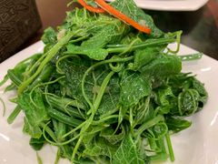 -大鸭梨烤鸭店(金顶街店)