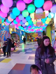 -宝燕乐园(闵行旗舰店)