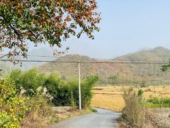 -塔川景区