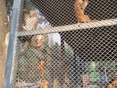 -长白岛森林公园