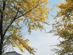 -西安世博园