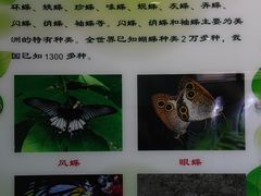 -上海昆虫博物馆