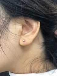 -花师傅