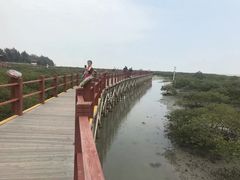 -北海金海湾红树林生态旅游区