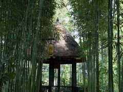 -三苏祠