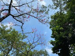 -云溪植物园