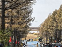 -御道口草原森林风景区