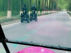 -黄海国家森林公园