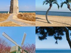 -日照灯塔风景区