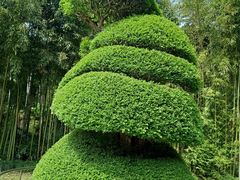 -苏州河梦清园环保主题公园