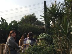 -悦哉·派对·草坪婚礼·围炉煮茶(三圣乡店)