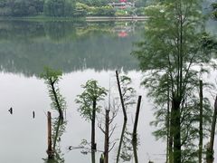 -番禺大夫山森林公园