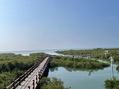 -北海金海湾红树林生态旅游区