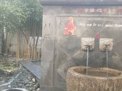 -蟹肉煲蟹肉(阊胥路店)