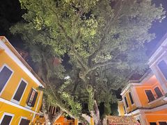 -ALBERGUE 1601 婆仔屋葡国餐厅
