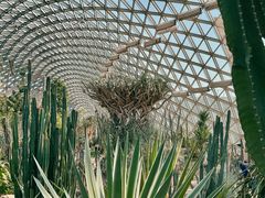 -上海辰山植物园