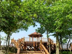 -南京市无想山景区