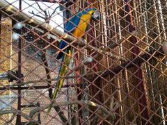 -元生咖啡(陶溪川店)