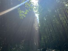 -山王坪喀斯特国家生态公园