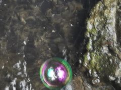 -白水寺森林公园