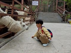 -栾川竹海野生动物园