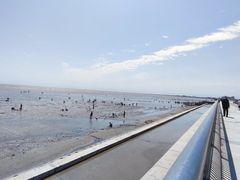 -东疆理想海岸沙滩景区