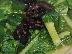 -凤阁楼果木烧鹅(鹤山陈山店)