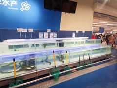 -盒马X会员店(上海森兰商都店)