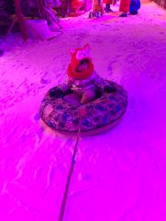 -圣名游乐城冰雪大世界